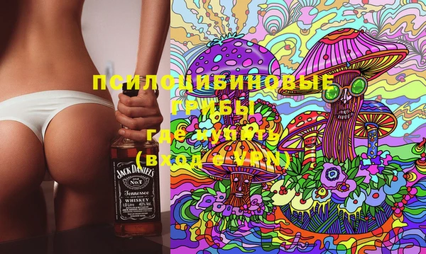 прущий лед Алапаевск