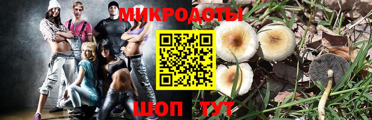 Псилоцибиновые грибы MAGIC MUSHROOMS Уссурийск