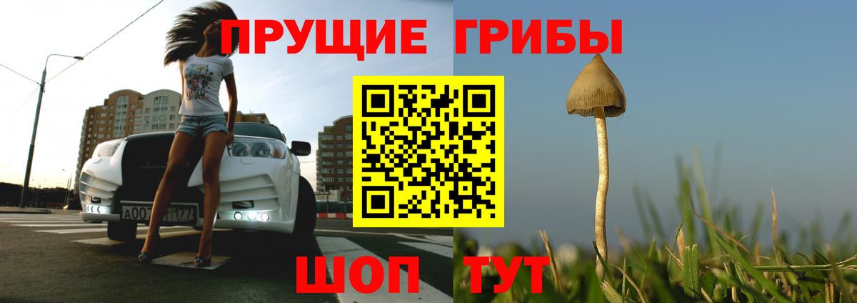 Псилоцибиновые грибы Psilocybine cubensis Уссурийск